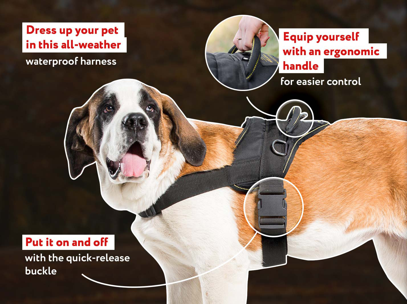 Adjustable Nylon Dog Harness for Everyday Use dog harnesses store