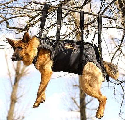 Crucial German Shepherd Harness in Rapid Ascending dog harnesses store