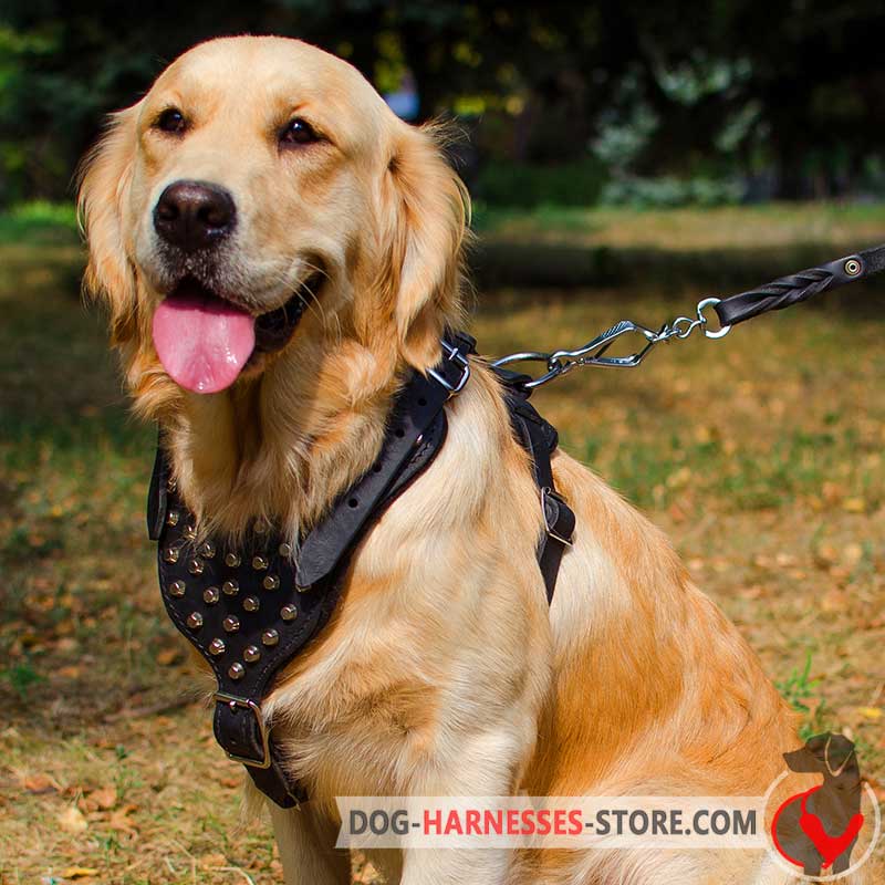 Designer Golden Retriever Harness for Walking dog harnesses store