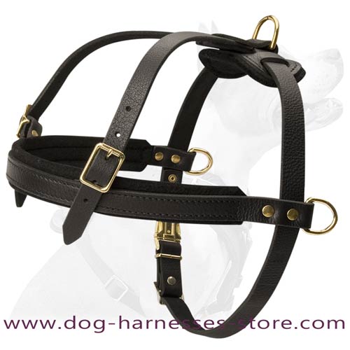 Dog shops harness for great pyrenees