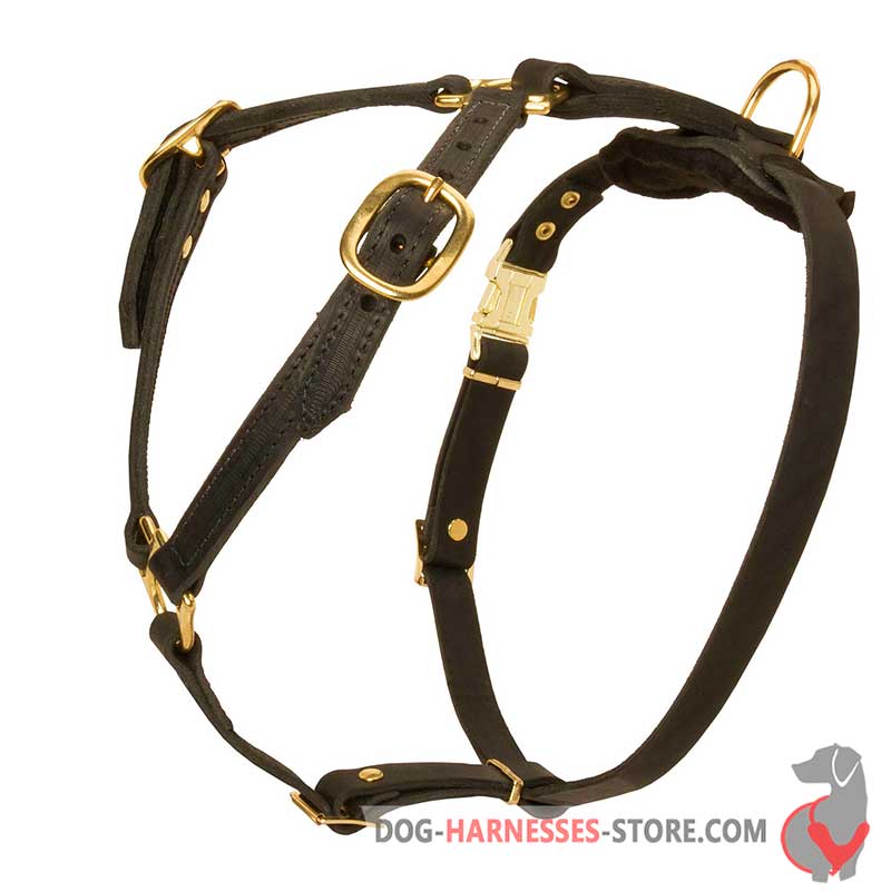 Handmade leather dog harness hotsell