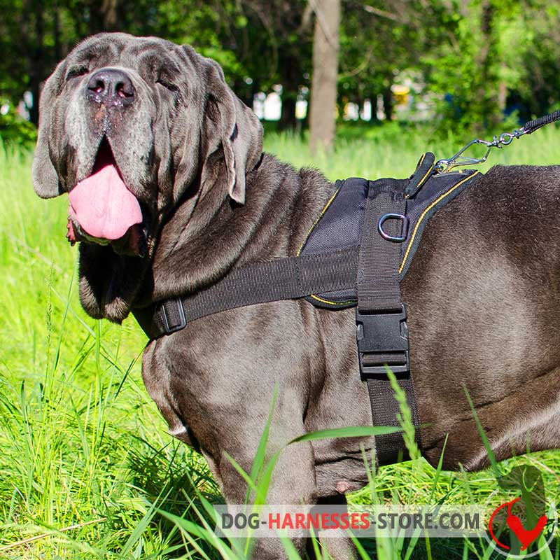 Multifunctional Nylon Mastiff Neapolitan Harness for Walking Training dog harnesses store