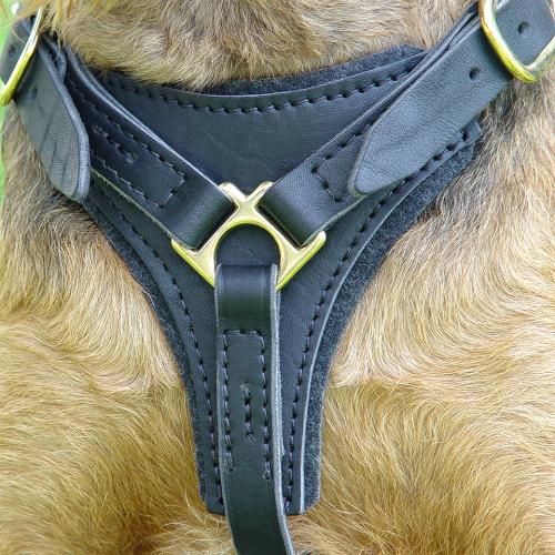 Leather harness for german shepherd hotsell