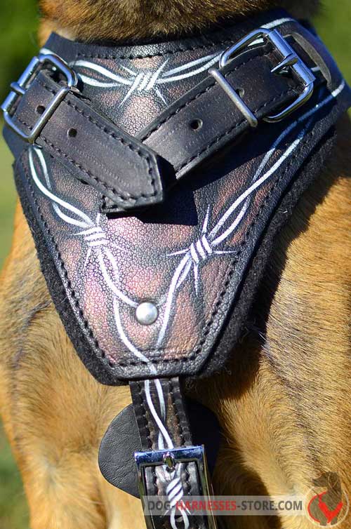 Padded on Chest Leather Dog Harness 