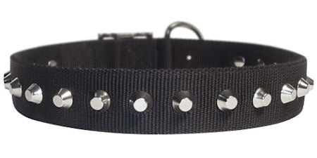 1 Row Studs Dog Collar-1 1/4" for every day walking dogs