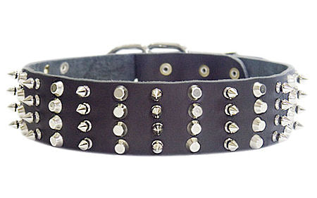 2 inch Leather Dog Collar with STUDS and SPIKES for walking dogs