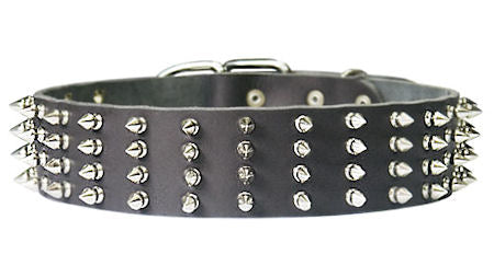 2 inch Wide Leather Spiked Dog Collar