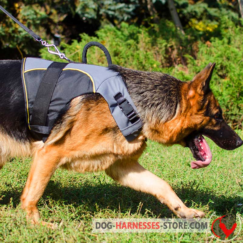 Adjustable German Shepherd Harness for Winter Warming