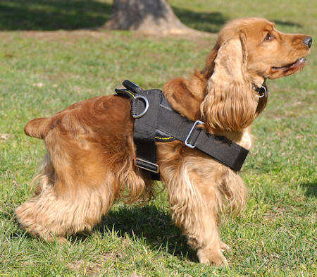 Adjustable Nylon Cocker Spaniel Harness