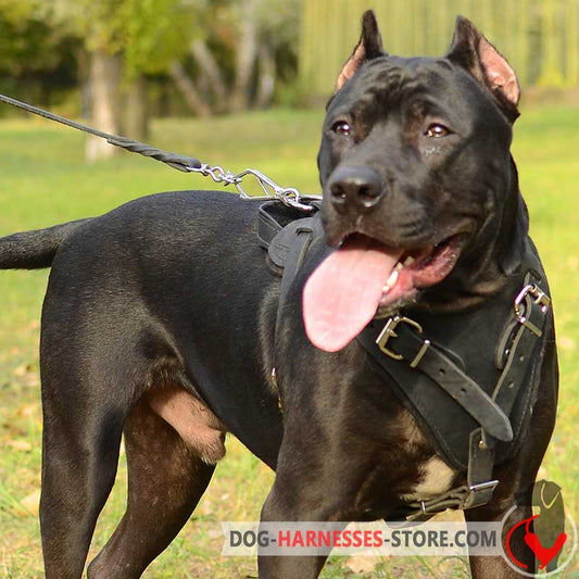 American Pitbull Harness for Agitation/Protection