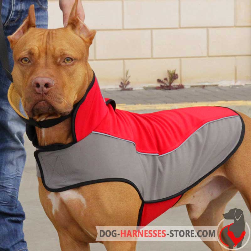 American Pitbull Nylon Coat for Winter Walking