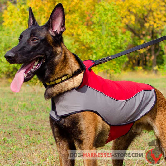 Belgian Malinois Nylon Coat for Winter Walking