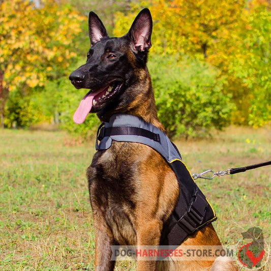 Belgian Malinois Nylon Dog Harness for Rehabilitation