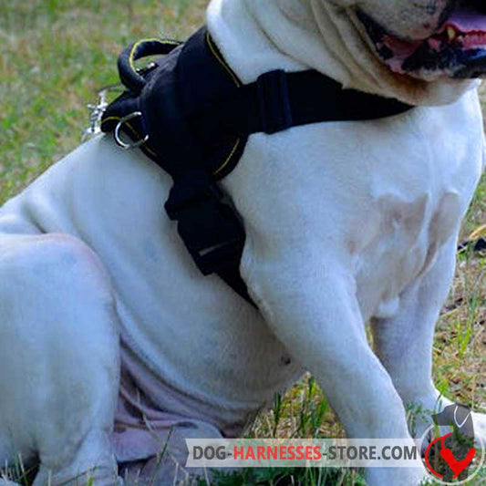 Boerboel Mastiff Nylon Dog Harness for Pulling