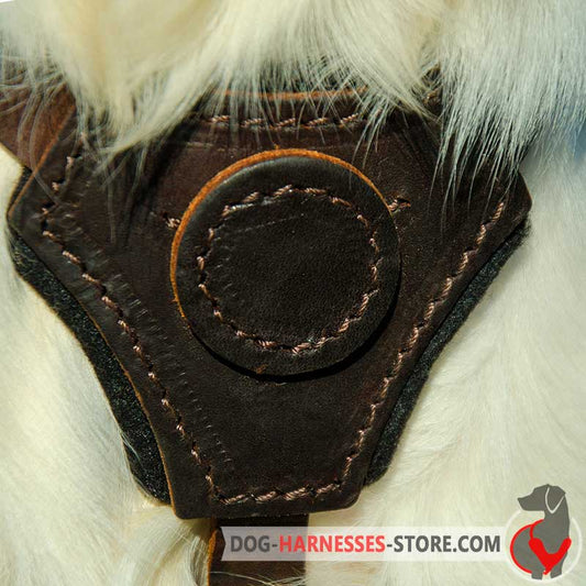 Cane Corso Leather Dog Harness for Puppy Training, Walking or Tracking