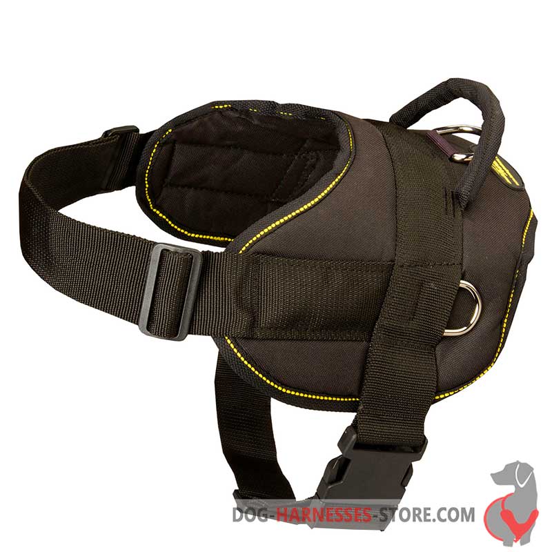 Comfortable Dog Harness for All Dog Breeds