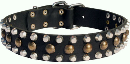 Custom Studded Leather Dog Collar for every day working dogs