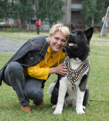 Designer Akita Inu Royal Harness for Daily Walking