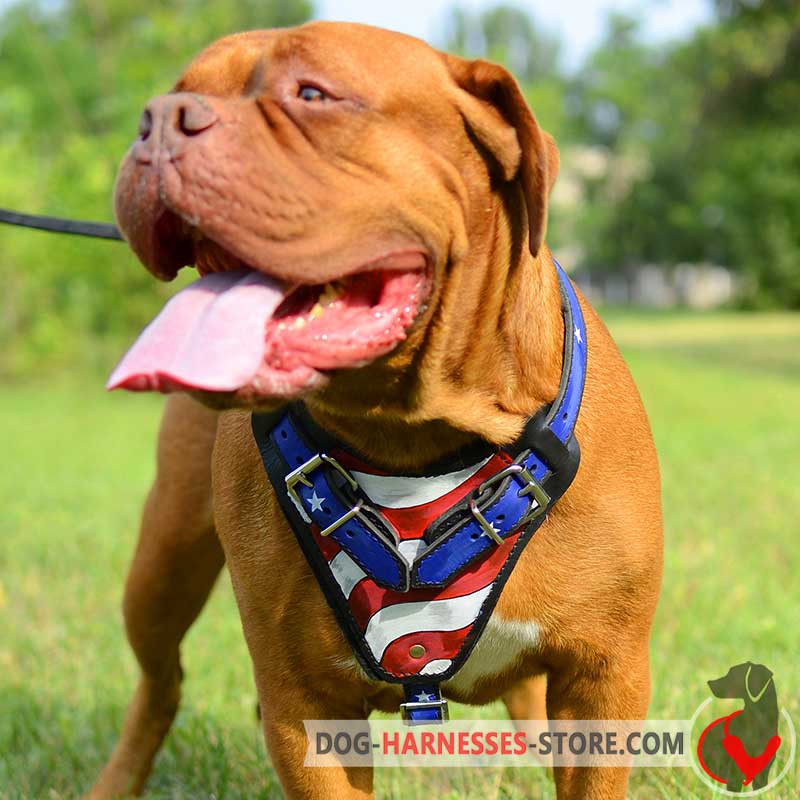 Dogue-de-Bordeaux  Handpainted American Pride Leather  Harness