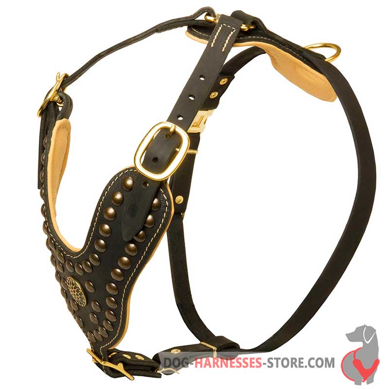 Exclusive Design Studded Leather Dog Harness