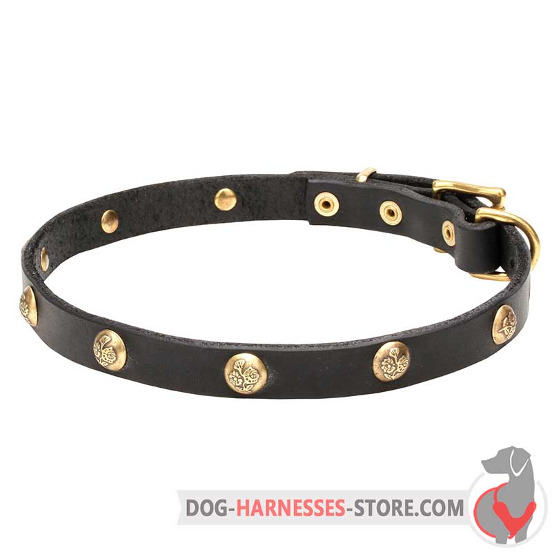 Floral Design Leather Dog Collar 20 mm Wide with Brass Studs