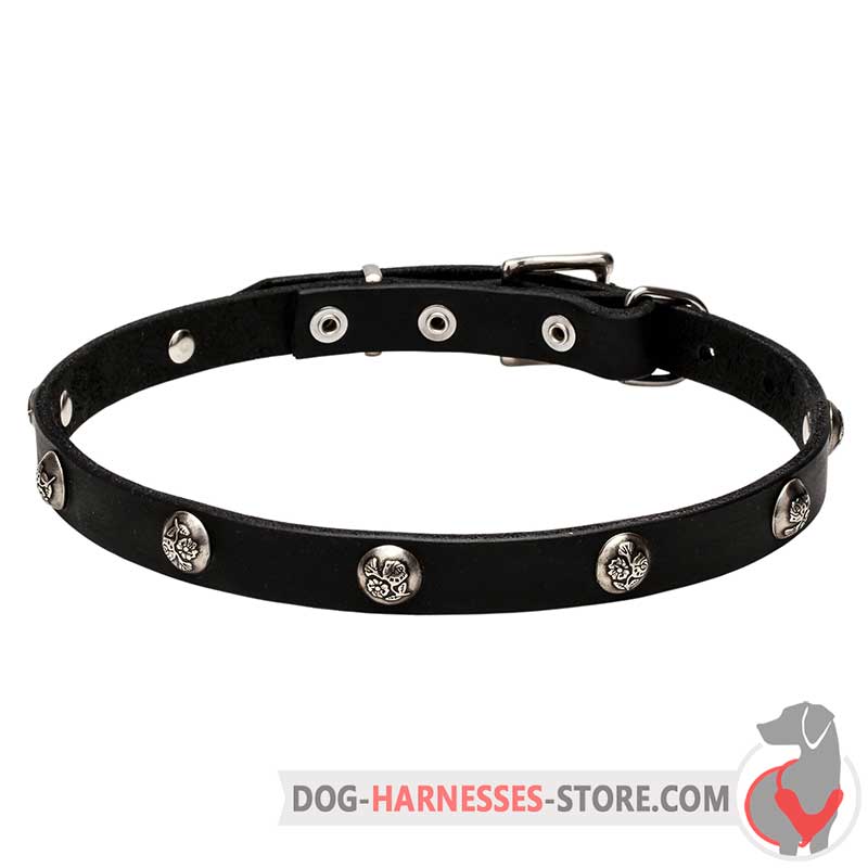 Floral Design Leather Dog Collar 20 mm Wide with Nickel Plated Studs