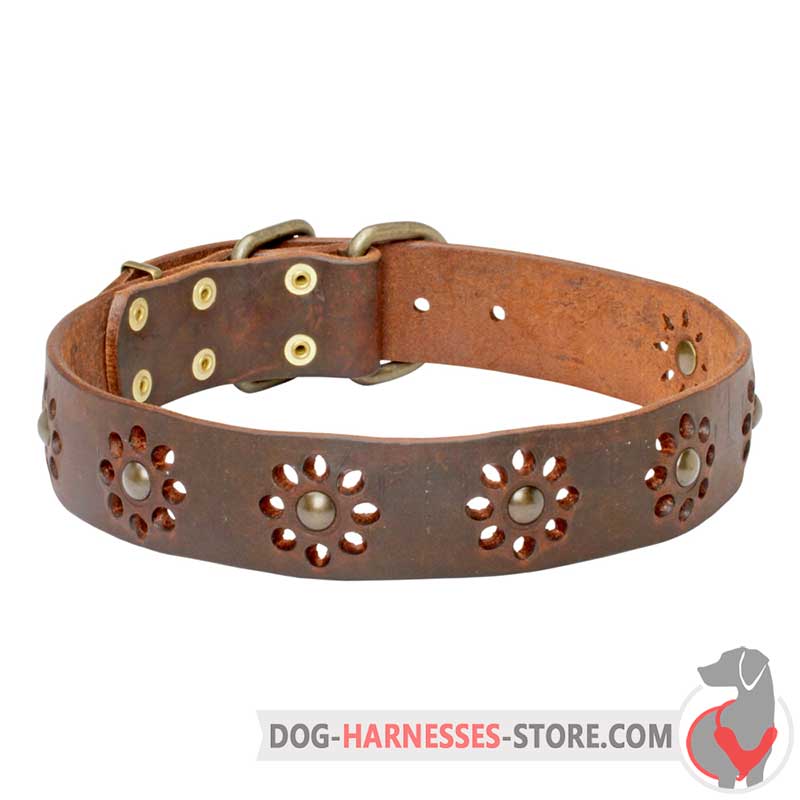 Floral Leather Dog Collar with Brass Studs