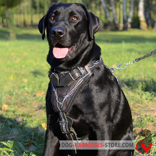 Hand Painted Barbed Wire Labrador Retriever Harness