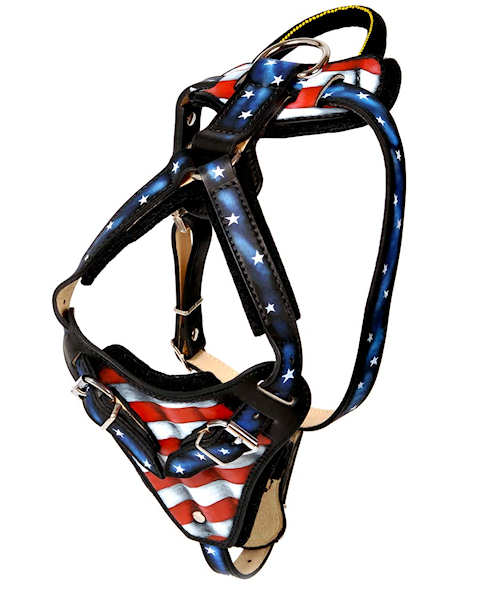 Hand painted designer,custom handmade Leather Dog Harness