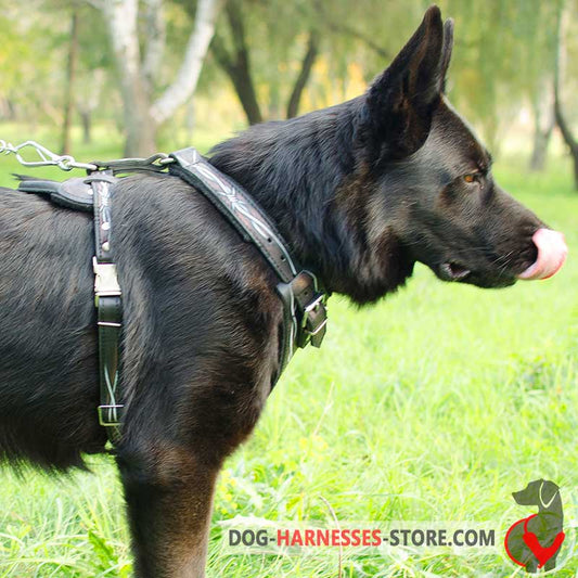 Hand Painted  German Shepherd Harness