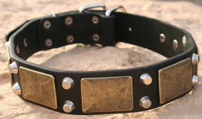 Handmade Leather Dog Collar with Brass Massive