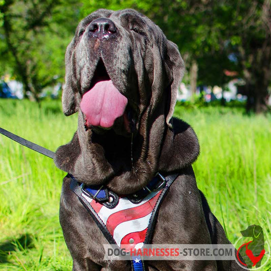 Handpainted American Pride Leather Mastiff Neapolitan Harness