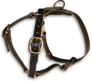 Latigo Leather Roading Harness for DOG