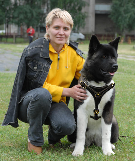 Leather Akita Inu Harness for Professional Training