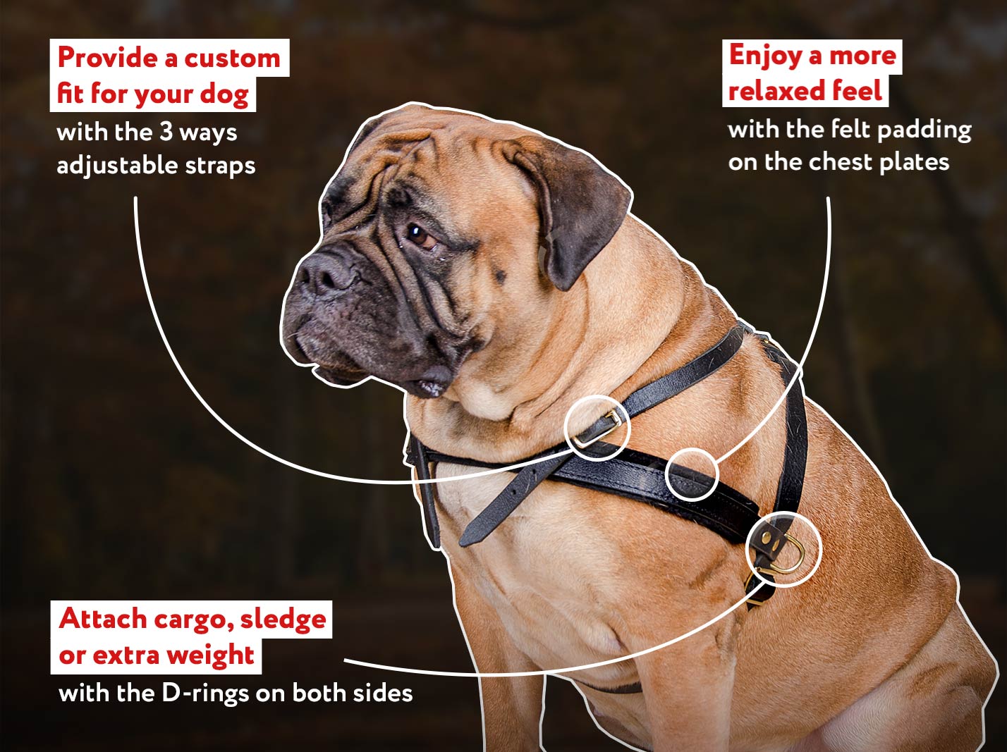 Leather Dog Harness for Pulling, Tracking and Walking