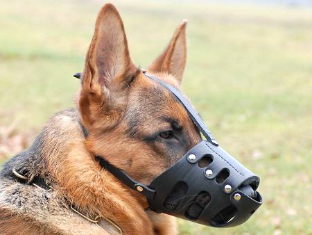 Leather dog muzzle for dog - k9 dog muzzle