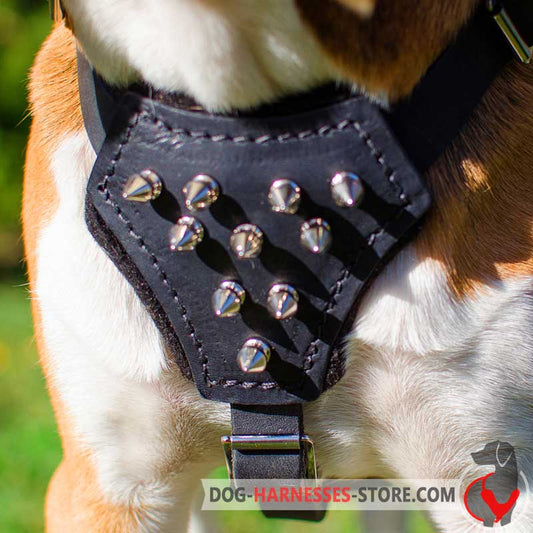 Leather English Bulldog Puppy Harness with Spiked Padded Chest Plate