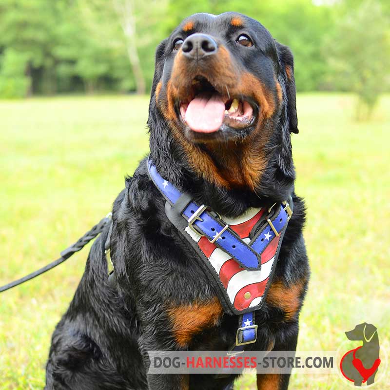 Leather Rottweiler Harness with American Pride Painting