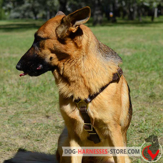 Luxury Handcrafted German Shepherd Harness for Walking and Jogging