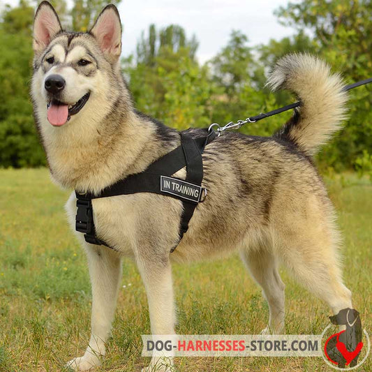 Multifunctional Nylon Alaskan Malamute Harness with ID Patches