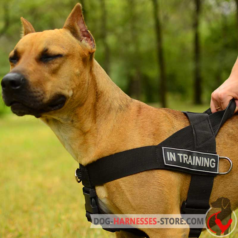 Multifunctional Nylon Pitbull Harness with ID Patches