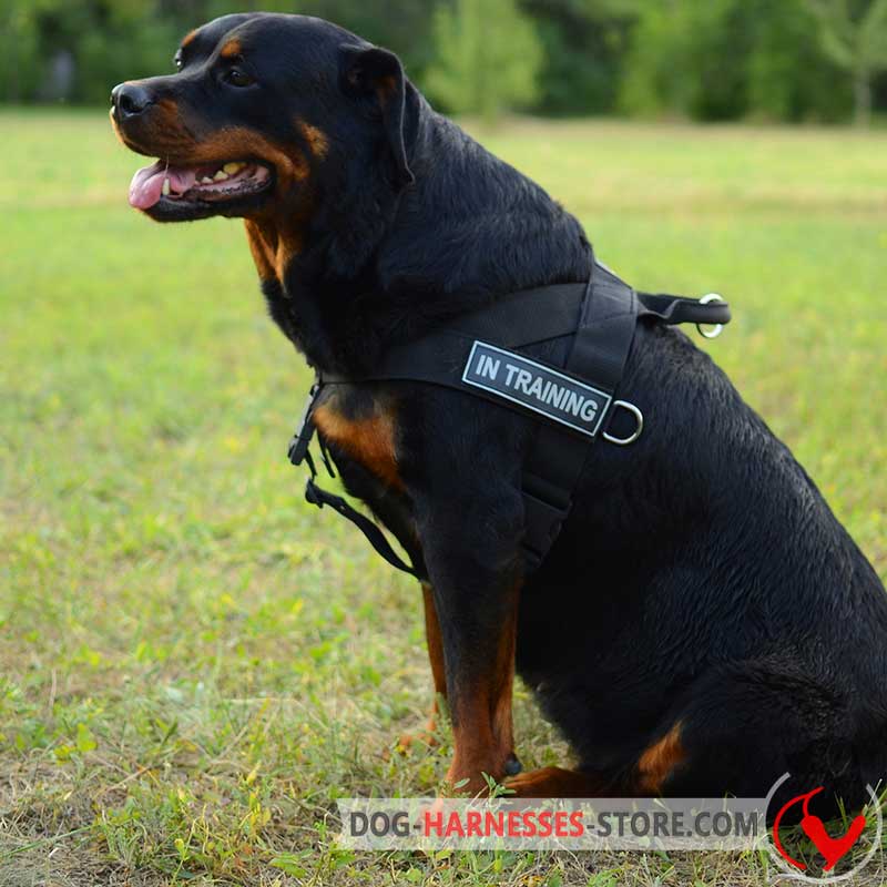 Multifunctional Nylon Rottweiler Harness with ID Patches