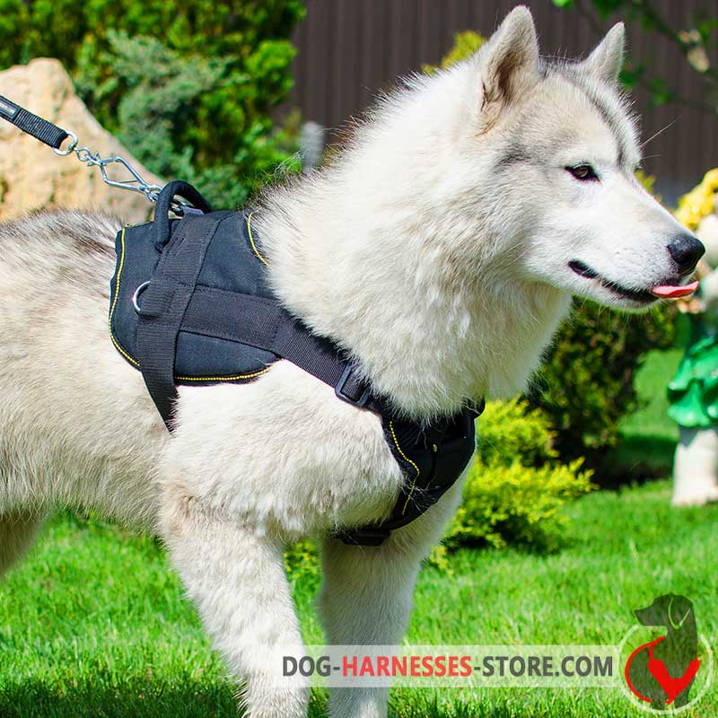 Multifunctional Nylon Siberian Husky Harness with Chest Plate