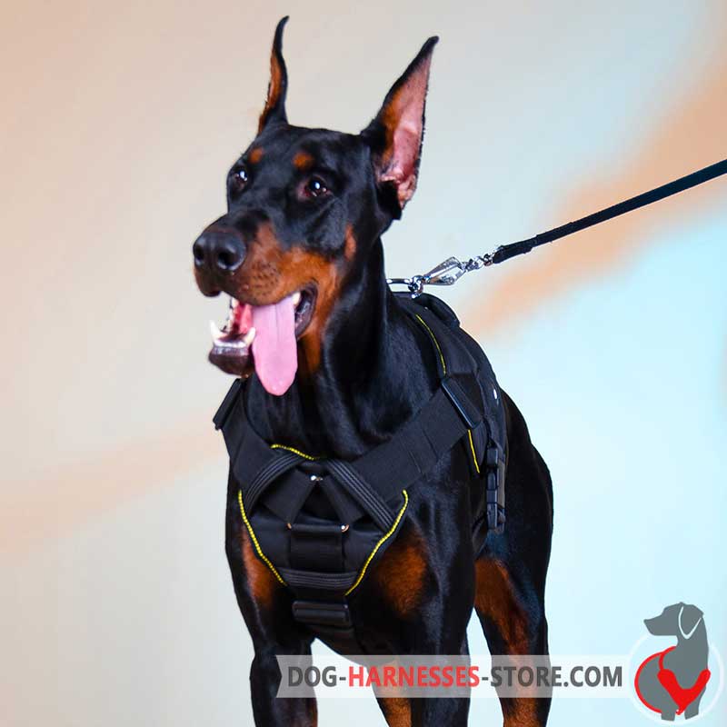 Nylon Doberman harness  for walking and training