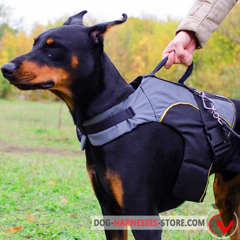 Nylon Doberman Harness for Winter Warming