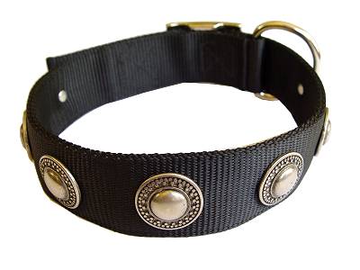 Nylon Dog  Collar with Silver Conchos