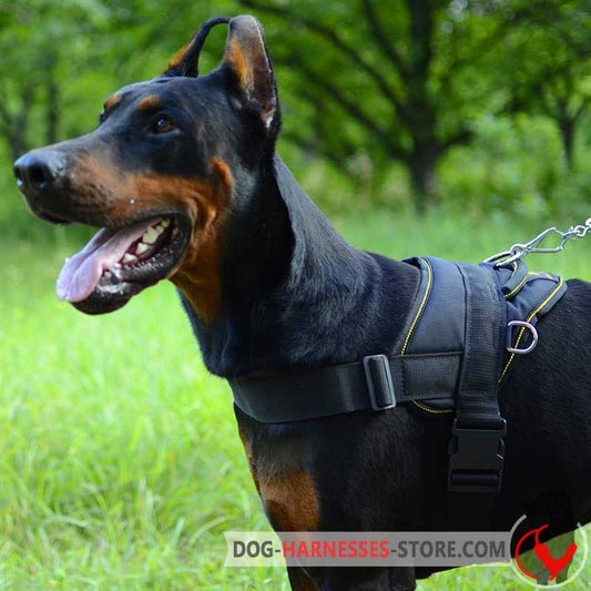 Nylon multi-purpose Doberman harness for tracking/pulling