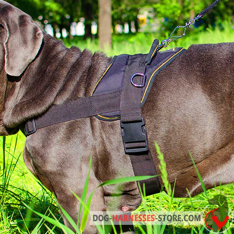 Nylon Multi-Purpose Pointer Harness