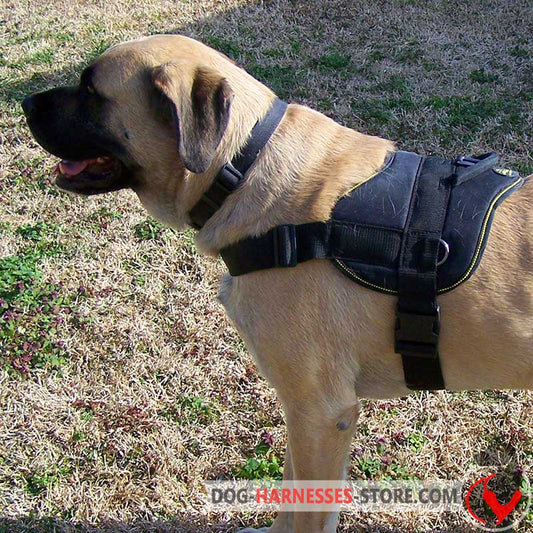 Nylon Pyrenean Mastiff Harness with Handle