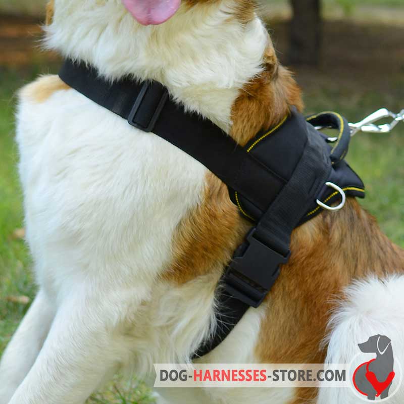 Nylon Wirehaired Pointing Griffon Harness for Pulling/Tracking